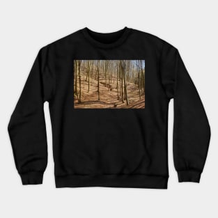 Landscape with beech forest on springtime Crewneck Sweatshirt